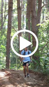 BIB:  <button type="button" onclick="openModal(26569556)" class="btn btn-primary btn-sm float-right" data-toggle="modal" data-target=".modal-high-quality">
                <i class="fa fa-download"></i> Download
                </button>